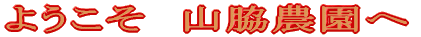 �悤�����@�R�e�_���� 